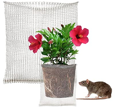 Nimomo Sac de Protection des Racines des Plantes, Lot de 4 10 x 9 Pouces Corbeilles à Souris en Acier Inoxydable Protection des Racines pour Plantes Protection des Racines