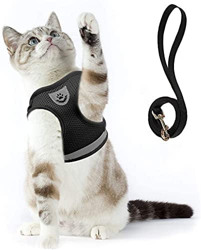 Supet Katzengeschirr ausbruchsicher katzenleine mit Geschirr für Katzen Weich Katzen Weste mit Leine für Kitten Hunde Chihuahua (M, Schwarz)