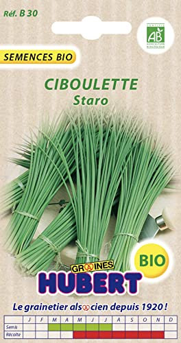 Graines de Ciboulette Staro BIO - 0,4 grammes