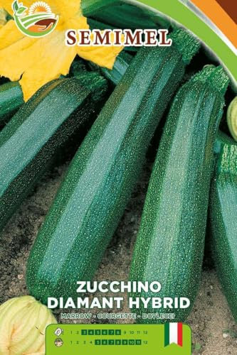 Zucchino Diamant Hybrid - Semi di Zucchino Vigoroso, Frutti Medi e Verdi, Ciclo Variabile 50-80 Giorni, Semina da Febbraio a Luglio 2 confezioni