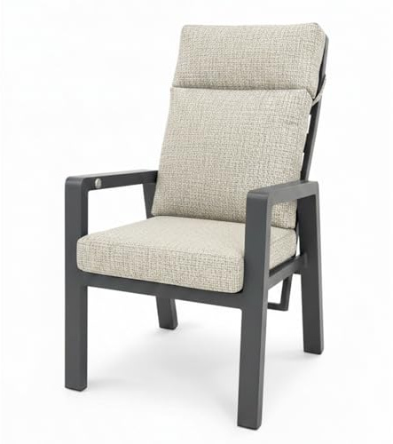 osoltus Gartensessel Alu Anthrazit wetterfest Palma II All Weather Olefin | stufenlos verstellbare Rückenlehne Dank Gasdruckdämpfer (beige)