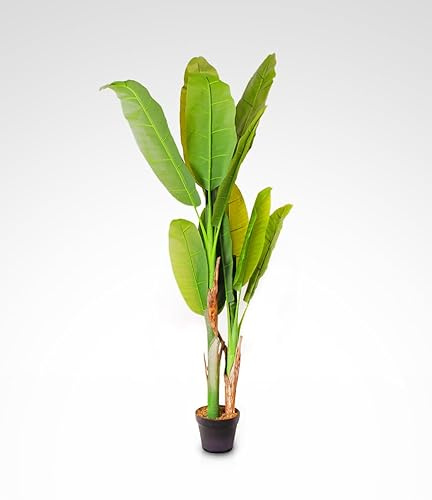 Kentis - Banano Finto Alto 160 cm - Piante Finte da Interno Design - Pianta Finta con Vaso - Piante Artificiali da Esterno - Decorazione Casa e Ufficio