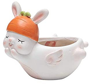 Msuiiixcccc Creative Small Animal Flower Pot Thick Small Flower Pot Small Cactus Pot Home and Office Decoration Desktop ill Wedding Gift Birthday Gift (12.5cm * 9cm)