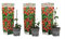 Plant in a Box - Thunbergia 'Arizona Red' - 3er-Set - Schwarzäugige Susanna - Topf 9cm - Höhe 25-40cm