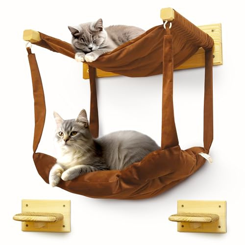 myHANA Kletterwand Katzen Set Kiefernholz | Hängematte Katze Wand 3 Farbvarianten| 2X Katzentreppe Wand | Katzen Wandelemente Set| Katzenmöbel | Katzewandliege| Katzenbett | Wandkratzbaum