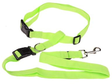Alasum Verstellbare Strapazierfähige Bauchgurt Hundeleine aus Nylon Freihändig für Jogging Wandern und Spaziergänge Komfortabel mit Schnellverschluss Grün für Aktive Hundebesitzer