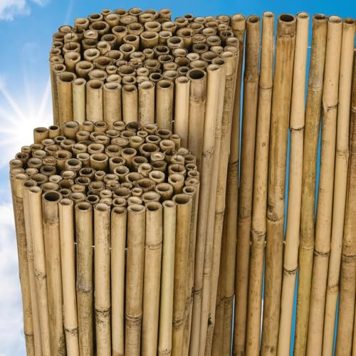 Mugar- Valla de Bambú Premium 2.50 m Natural, Cañas de Bambú endurecido decorativo exterior e interior. Resistente a la interperie, para cerramientos, cañizos naturales (2.50 x 1.50 m (L x A))