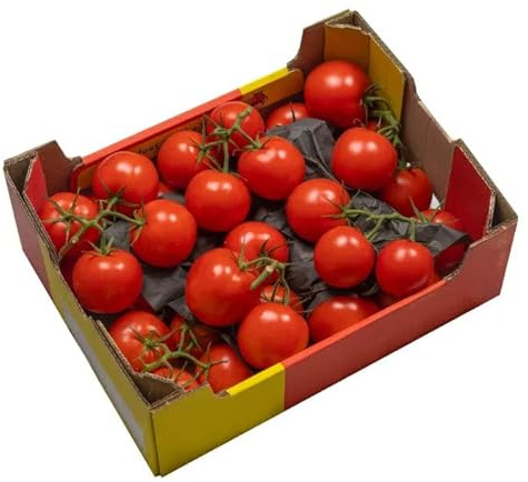 Vine Tomatoes (Class 1)-1.5kg