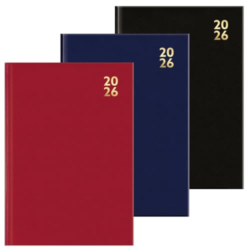 Sixstore Terminplaner 2025, A4, Tagesansicht, Farbdesign, DAP-Tagebuch, ein Tag pro Seite, Schreibtisch-Tagebuch, Lesebändchen mit stündlichen Schlitzen von 8.00 bis 20.00