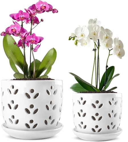 REMIAWY Orchideentopf mit Drainagelöchern und Untersetzer, 15,2 cm und 12,7 cm, großer Keramik-Pflanzgefäß, Blumenorchideentöpfe zum Umtopfen von Zimmerpflanzen, Sukkulenten, dekorativ, gute