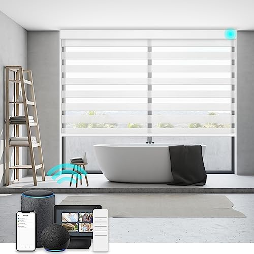 Changshade Zebra Blinds with Remote Control, Light Filtering Custom Size Zebra Roller Shades Electric Power with Valance Cordless, Compatible with Alexa, Google, Apple Homekit, SmartThings, White