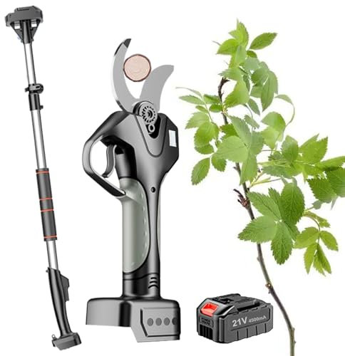 ZEEKYFOR Forbici Elettriche da Potatura con Asta di Prolunga per Rami di Alberi di Diametro 0-50mm, Forbici Elettriche per Giardinaggio, Tagliarami per Potatura Alberi,1 Battery