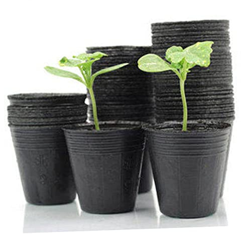 POPETPOP 300 Pièces conteneur de Stockage Pot de pépinière Plateaux de semences Pot pour Pots Pots de Plantes d'intérieur Bol Alimentaire Outil de Jardin Ménage Réutilisable