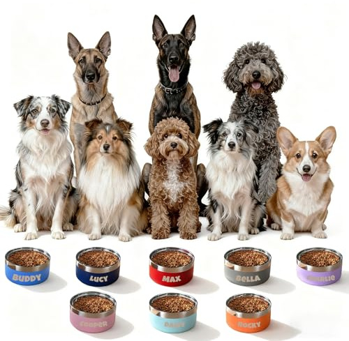 Gamelle INOX pour Chien Personnalisée avec Texte, Trois Tailles et 8 Couleurs, avec Dessous Antidérapant (L)