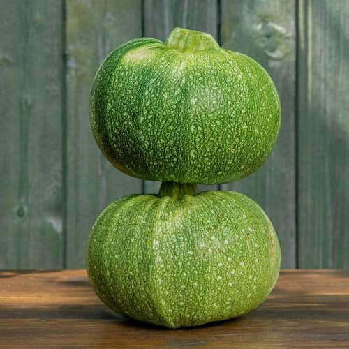 calabacino resistente decorazione ufficio semi di verde cucina giardino semi di calabacino scalapante resistente all'aria 250pcs