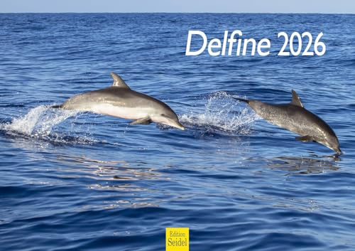 Edition Seidel Calendario premium de delfines 2026, formato DIN A3, calendario de pared, calendario de animales, delfines, ballenas, orcas, mamíferos, mar, océano