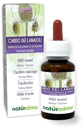 Cardo dei lanaioli o Cardo selvatico (Dipsacus fullonum o sylvestris) radici Tintura Madre analcoolica Naturalma - Estratto liquido gocce 60 ml - Integratore alimentare - Vegano