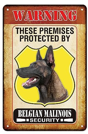 Chapa Vintage Retro Cartel Placa De Pintura Vintage Carteles De Pared De Metal para Garaje Jardín Baño 20X30Cm Estas Instalaciones Están Protegidas por El Perro Pastor Belga Malinois