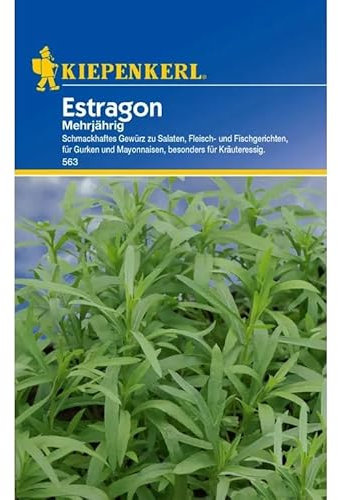 Kiepenkerl Estragonsamen mehrjährig 563 - Schmackhaftes Gewürz für Salate, Fleisch- und Fischgerichte, Kräutersamen, Pflanzensamen für Garten und Balkon, Saatgut für hohen Ertrag