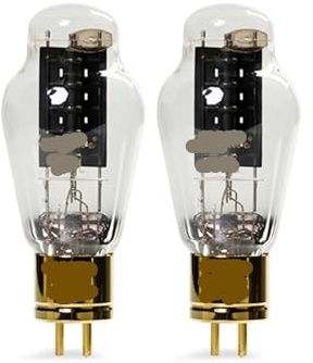 JEQGDLUI 1/2/4 Pezzi Amplificatore Audio a valvole 300B-L(2 PCS)