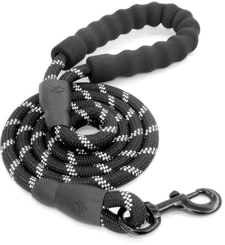 RoiYeel Hundeleine 1.2m, Bequemer, gepolsterter Tragegriff, Reflektierend, Nylon, Zum Training Gassigehen, Trainingsleine & Laufleine für Welpen, kleine, mittlere und große Hunde (120×1 cm) Schwarz