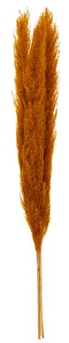 Set de 3 Branches de Pampa séchée Ocre H 109 cm - Atmosphera