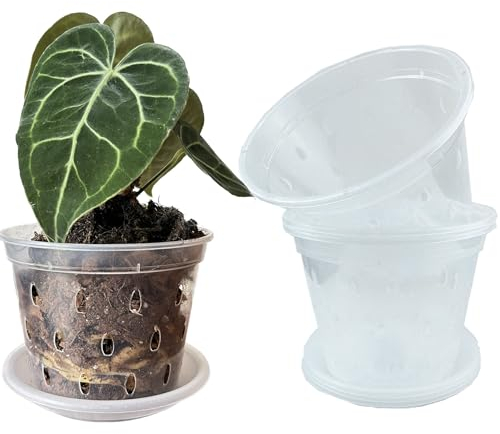 Vasi trasparenti da 14 cm, con fori e piattini, per piante tropicali, orchidee, Anthurium Clarinervium Monstera (5, 14 cm con piattini)