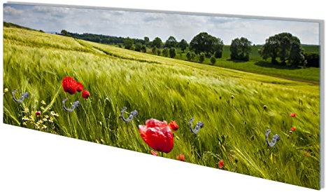 Wallario Wandgarderobe aus Glas in Größe 80 x 30 cm mit Memoboard-Funktion, Motiv: Mohnblumenwiese auf grüner Wiese unter blauem Himmel | 5 Kleiderhaken zum Aufhängen von Jacken