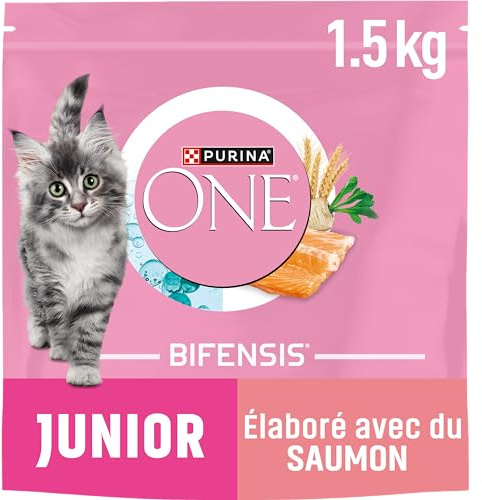 PURINA ONE Gatto Junior Da 1 A 12 Mesi, Sviluppato con Salmone selezionato 1,5 kg - Crocchette per Gattini