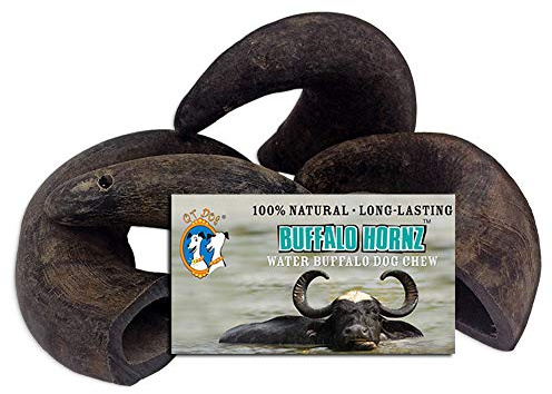 QT Dog Buffalo Hornz - Small (Pack of 4) | Long-Lasting 100% All-Natural Dog Chew | Ethically Sources Protein-Packed & Low Fat Dental Chews | Ideal for All Breeds & Aggressive Chewers |