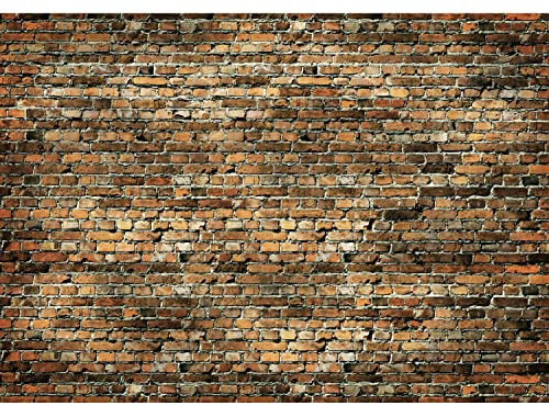 Runa Art Papier peint intissé Mural mur de briques Moderne Toison Salon Chambre à Coucherr Salle - Tableaux Muraux Tapisserie Photo - marron 9480010b