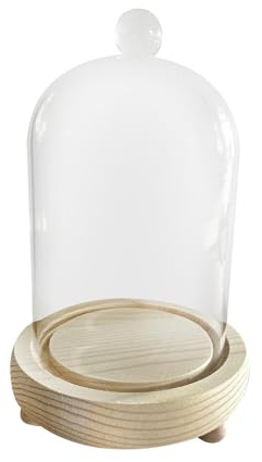 Ronyme Cloches en Verre Transparent, Cloche Dôme Décorative avec Socle en Bois pour Lumières, Décorations de Table, 10x16cm