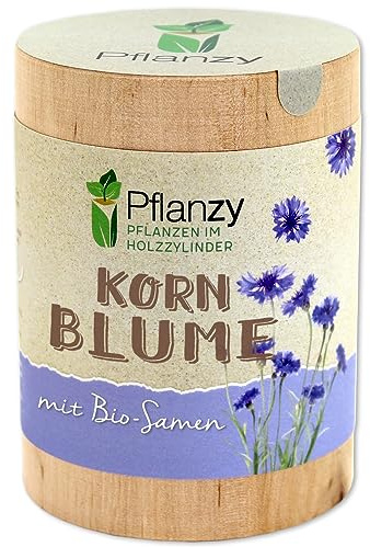 Feel Green Pflanzy Kornblume, Bio Samen, Nachhaltige Geschenkidee (100% Eco Friendly), Grow Your Own/Anzuchtset, Pflanzen im Holzzylinder, Made in Austria