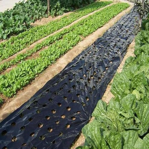 Lambo Film De Paillis De Légumes De Jardin, Toile de Paillage Anti Mauvaises Herbes, 10m Noir Film Imperméable Anti-Mauvaises Herbes pour Paillage, Idéal pour Potager, Légumes et Fraises, 95cm×10m