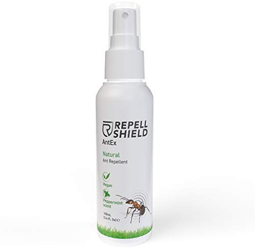 RepellShield Anti Ant Spray Indoors & Outdoor Insect Repellent Spray - Ideal Ant Repellent & Ant Stop Spray With Lavender & Neem Oil - Alternative to Ant Bait, Ant Trap & Ant Killer Spray, 100ml