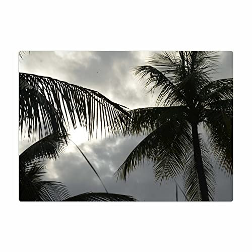 Vero Home 18222 Glas-Schneidebrett | Motiv Natur Palmen-Idylle | rutschfest, kratzfest und lebensmittelecht | Maße: 39 x 29 cm