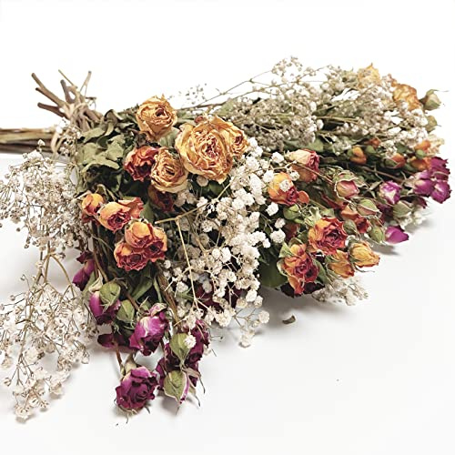 L'BREVOGA Dried Flowers with Stem, 16 inches Dried Spray Rose with Baby's Breath for Floral Arrangments Home Decoration (Rose)