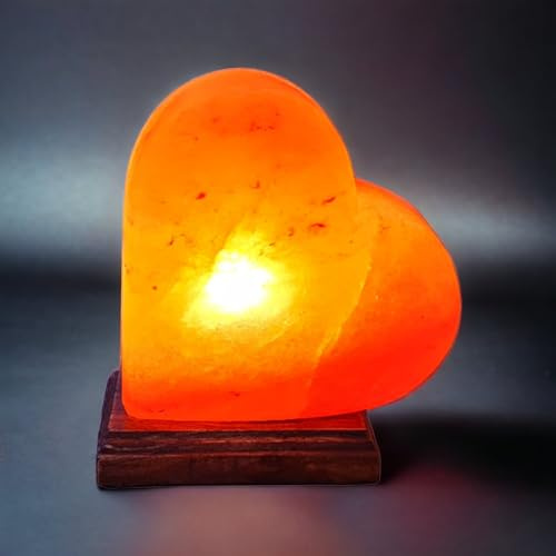 Saltbay Lampe de sel Himalaya Cœur Taille L avec variateur de lumière