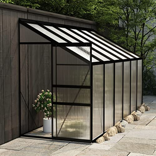 Home Outdoor SonstigesGewächshaus Anthrazit Aluminium 7,77 m