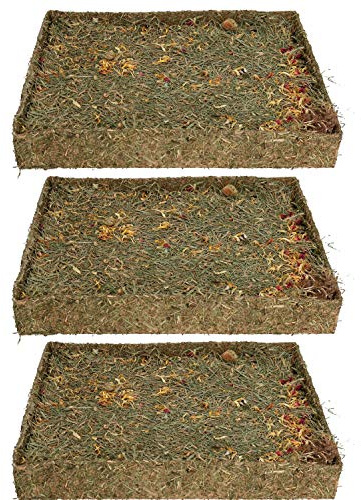AB Tools Kleintier-PET behandeln Kaninchen Meerschweinchen Knabbern 'N' dig Wiese 3-Pack