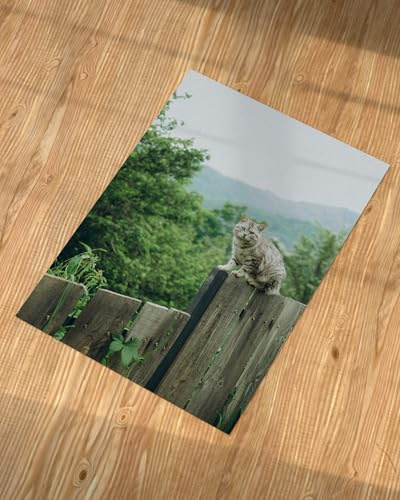 LIENZODECOR Poster Bild Personalisiert 50x70 cm | Fotogeschenke mit Eigenem | Geschenk Personalisiert | Foto Wandbild auf 250gr Papier