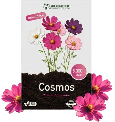 Grounding Maxi - Graines de Cosmea Mix blanc, rose et fuchsia, 5000 graines, hauteur 80-120 cm. Le Cosmos bipinnatus est idéal pour massifs et fleurs coupées - Semis facile, Qualité Européenne