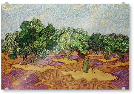 artboxONE Acrylglasbild 150x100 cm Natur Landschaft mit Olivenbäumen - Bild Vincent Van Gogh bildende Kunst bäume