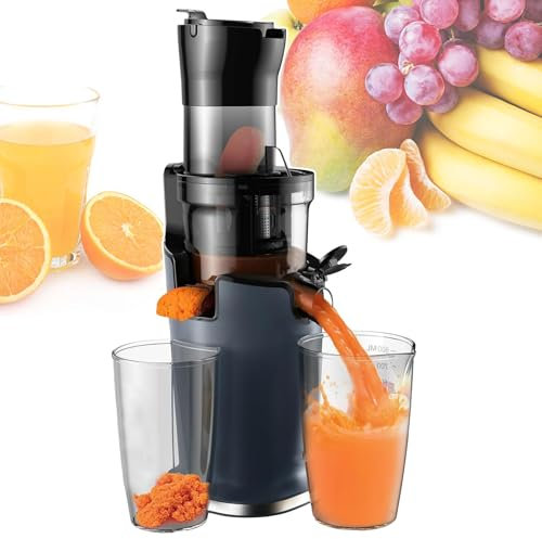pealiritansemen Slow Masticating Juicer Machine, Estrattore di Succo Automatico A Freddo, Tazza per Succo di Grande capacità da 800 Ml E Tazza per Vinacce da 600 Ml, per Ristoranti, Negozi di Bevande