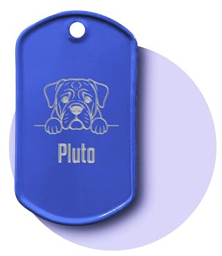 Personalisierte Hundemarke mit Gravur inkl. Kette und Silencer | Dog Tag mit Hunde-Motiv & Name | Erkennungsmarke für Halsband | Geschenk für Hundebesitzer (blau)