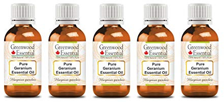 Greenwood Essential Huile essentielle de géranium naturelle (Pelargonium graveolens) distillée à la vapeur 100 ml x 5 (16,9 oz)