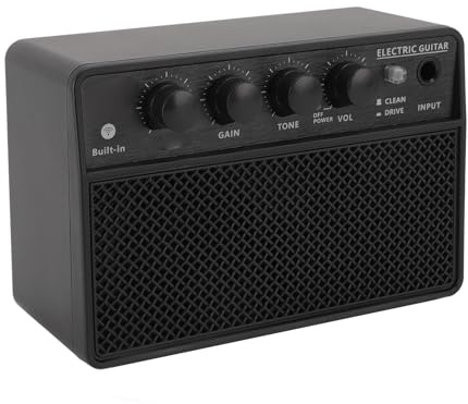 Bassverstärker, Tragbarer BT-Gitarrenlautsprecherverstärker 10-W-Subwoofer BT-Gitarrenverstärker mit USB-C-Schnittstelle für Live-Outdoor-Schwarz