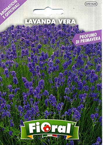 Sementi di piante aromatiche e officinali in bustina ad uso amatoriale (LAVANDA VERA)