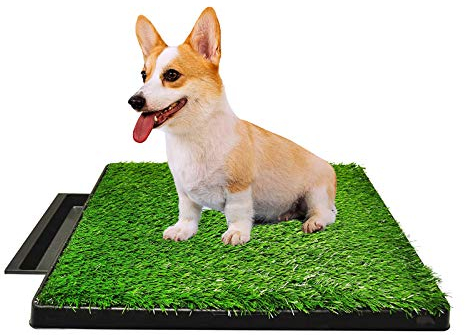 Almohadilla de césped para perros grande con bandeja, almohadilla lavable para orinar cachorros, césped de baño de césped artificial para perros de 61x49 cm para entrenamiento de mascotas, orinal por