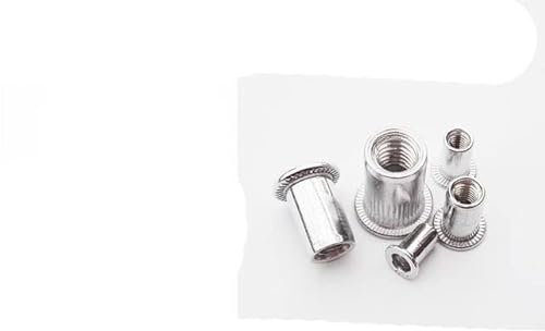 10/20 Stück M3 M4 M5 M6 M8 304 Edelstahl Kohlenstoffstahl Aluminium Flachkopf Blindnietmutter Einsatz Nutsert für Schraubenbolzen (20 Stück) M8, Aluminium C
